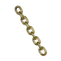 G70 Transport Chain Gold 10mm/Cut Length Per Meter