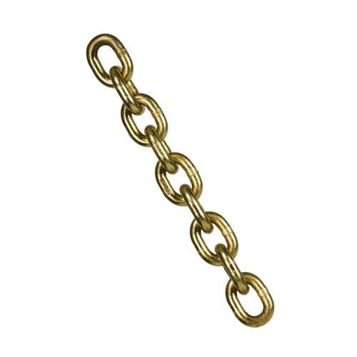 G70 Transport Chain Gold 10mm/Cut Length Per Meter