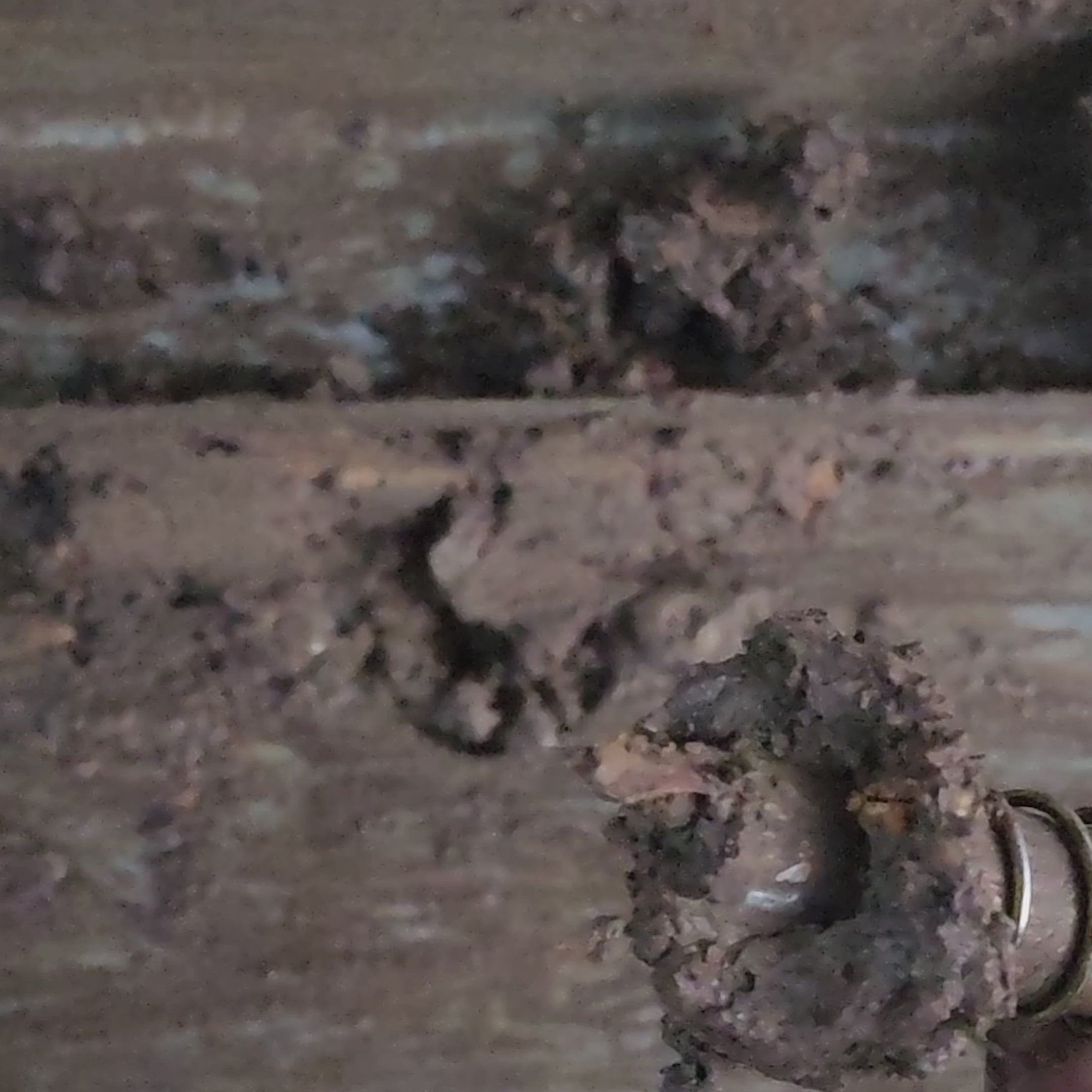 TurnLock 1T tie-down point in muddy conditions